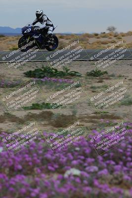 media/Jan-14-2023-SoCal Trackdays (Sat) [[497694156f]]/Turn 14 Exit Bloomig (145pm)/